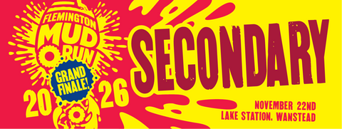 Secondary School Student Ticket - Children attending secondary school or aged 13 to 17 years
